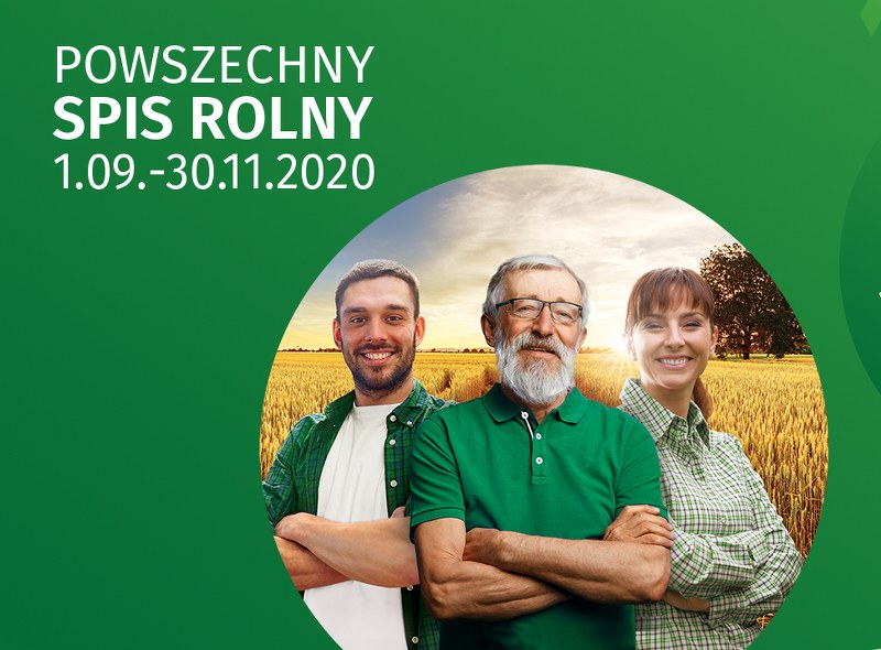 Na zdjęciu widzimy trzech rolinków.