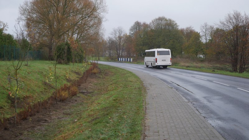 Nowe nasadzenia wzdłuż ulicy Jana Pawła II w Barwicach oraz przejeżdżający autobus