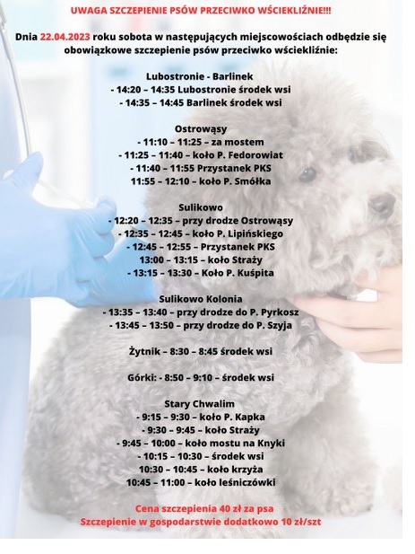 plakat informacyjny o terminach szczepienia psów w poszczególnych miejscowościach