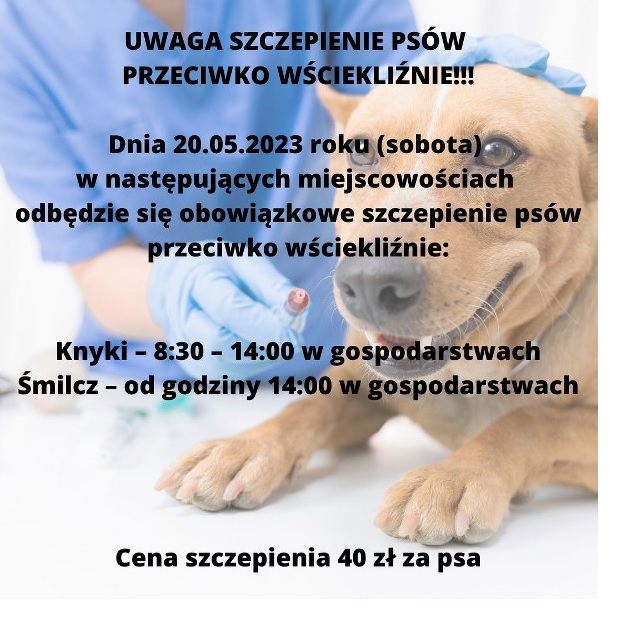 Plakat informacyjny o szczepieniu psów.