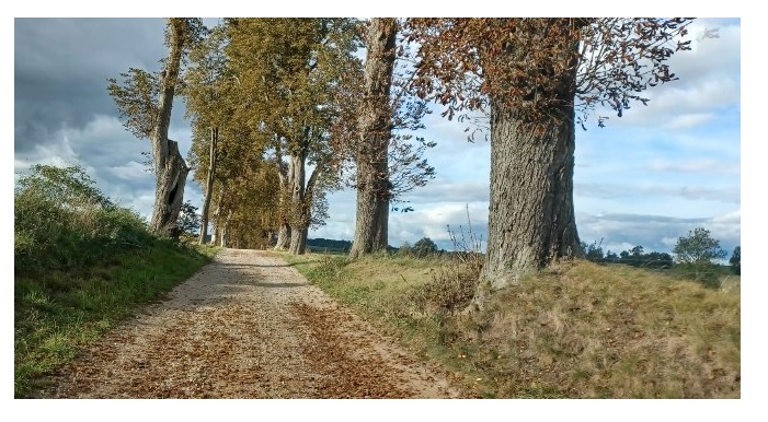 na zdjęciu fragment drogi do m. Liniec