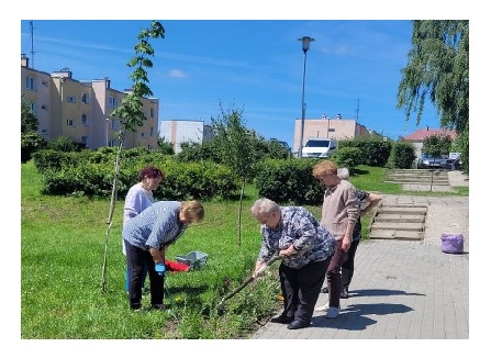 Seniorzy z klubu Senior Plus pielą łąkę kwietną