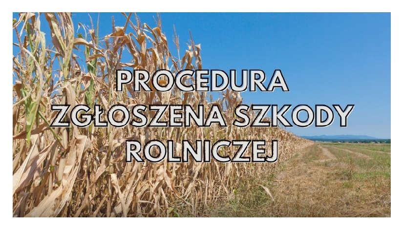 Jak zgłosić szkodę rolniczą spowodowaną czynnikami atmosferycznymi?