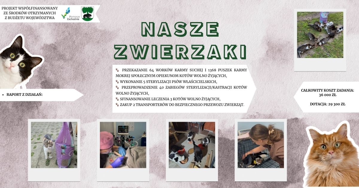 Podsumowanie programu „Nasze zwierzaki” w Gminie Barwice