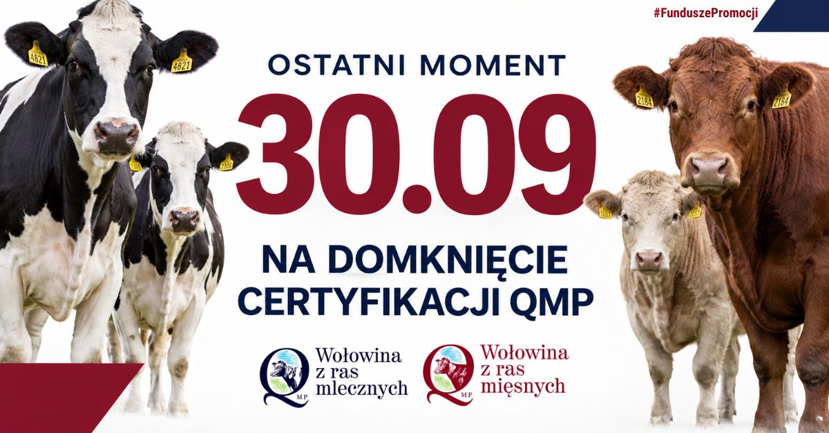 Certyfikat QMP – termin uzyskania upływa 30 września 2026 r.