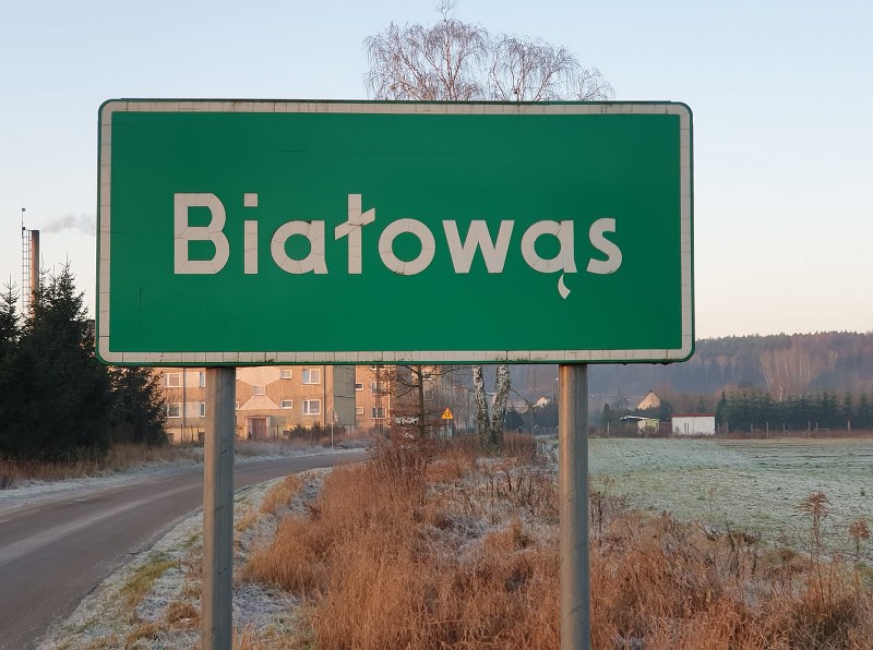 Białowąs