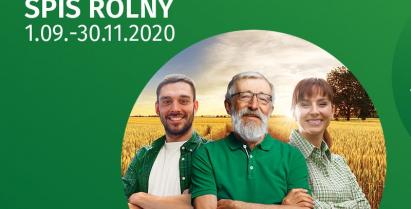 Na zdjęciu widzimy trzech rolinków.