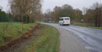 Nowe nasadzenia wzdłuż ulicy Jana Pawła II w Barwicach oraz przejeżdżający autobus