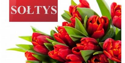 Kwiaty czerwone tulipany i tablica sołecka