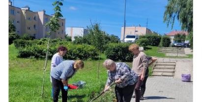 Seniorzy z klubu Senior Plus pielą łąkę kwietną