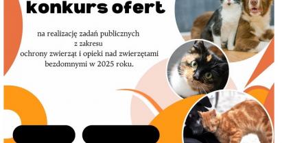 Otwarty konkurs ofert - ochrona zwierząt i opieka nad zwierzętami bezdomnymi.