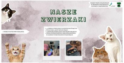 „Pomoc na cztery łapy” – realizacja programu Nasze Zwierzaki