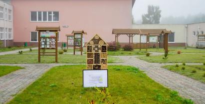Barwne Barwice – edukacja, bioróżnorodność i ochrona zapylaczy