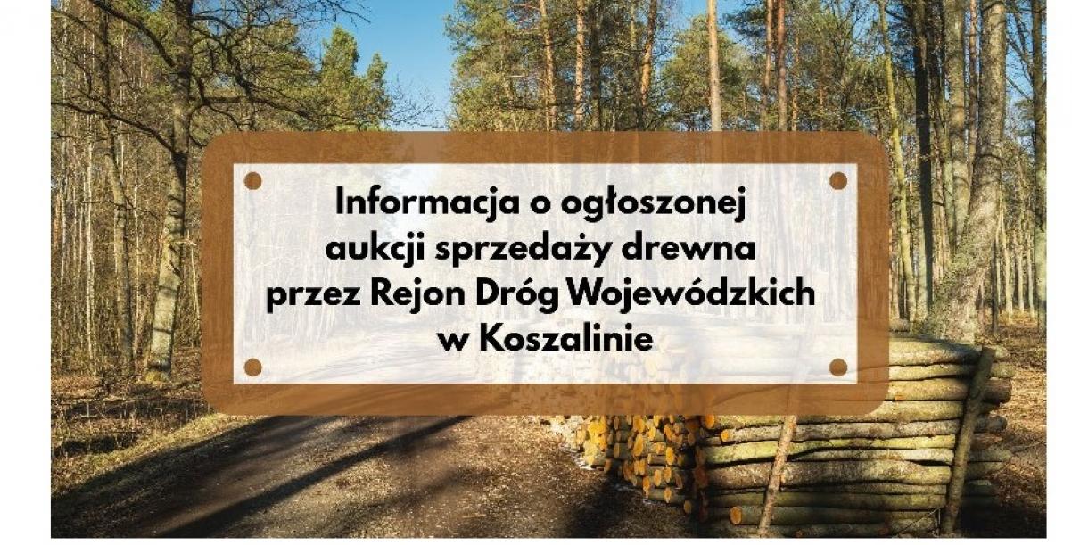 Informacja o ogłoszonej aukcji sprzedaży drewna przez Rejon Dróg Wojewódzkich w Koszalinie