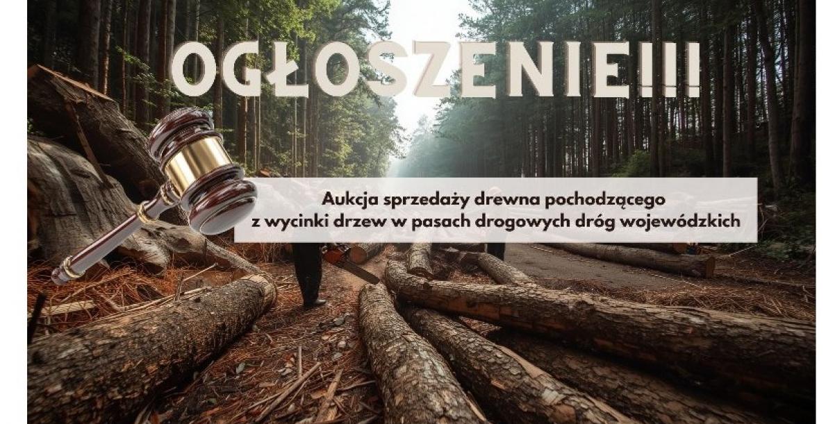 OGŁOSZENIE – Aukcja sprzedaży drewna pochodzącego z wycinki drzew w pasach drogowych dróg wojewódzkich.