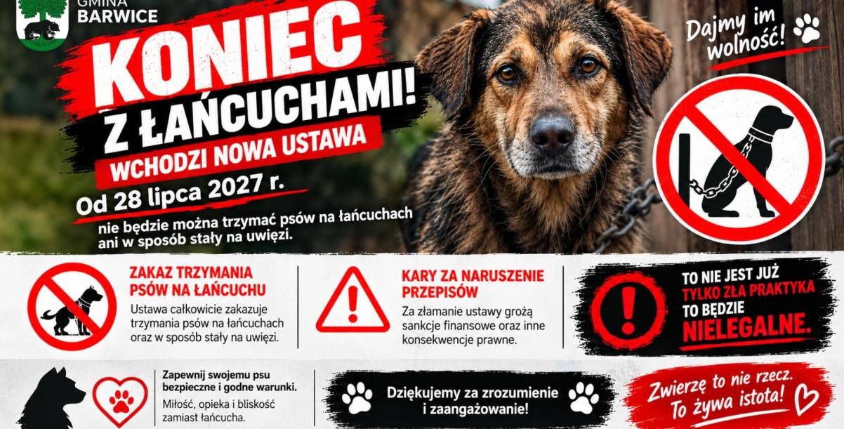 Nowe zasady utrzymywania psów i kotów od 28 lipca 2027 roku
