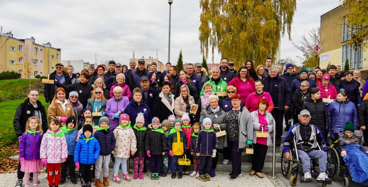 Barwne Barwice i Radomyślańskie Krokusy – wspólnie sadzimy kwiaty i dbamy o nasze otoczenie
