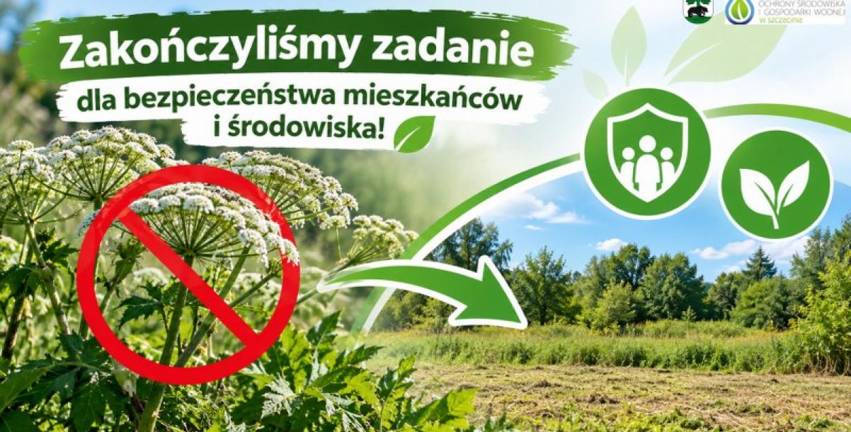 Grafika informująca o zakończeniu zadania polegającego na usuwaniu barszczu Sosnowskiego z terenu Gminy Barwice w 2026 roku. Przedstawia niebezpieczną roślinę przekreśloną czerwonym znakiem zakazu oraz zielony krajobraz symbolizujący ochronę środowiska i bezpieczeństwo mieszkańców.
