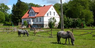 Gospodarstwo Agroturystyczne Siedlisko 8