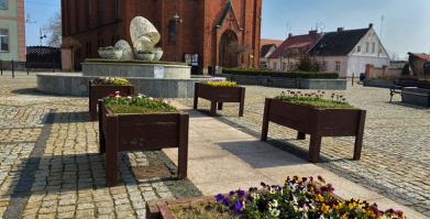 Nasadzenia kwiatów na Placu Wolności w Barwicach