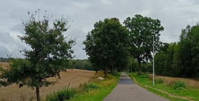 Droga w miejscowości Tarmno