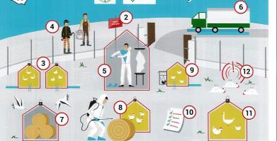 plakat informacyjny dla hodowców drobiu z instrukcją postępowania w związku z zagrożeniem ptasią grypą