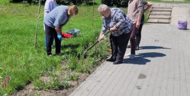 Seniorzy z klubu Senior Plus pielą i dosiewają łąkę kwiatową