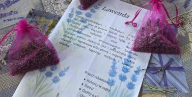 Warsztaty w ramach "Lawendowa nić sąsiedzka"