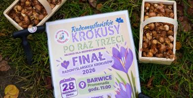 Barwne Barwice i Radomyślańskie Krokusy – wspólnie sadzimy kwiaty i dbamy o nasze otoczenie