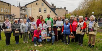 Barwne Barwice i Radomyślańskie Krokusy – wspólnie sadzimy kwiaty i dbamy o nasze otoczenie