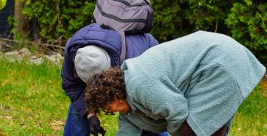 Barwne Barwice i Radomyślańskie Krokusy – wspólnie sadzimy kwiaty i dbamy o nasze otoczenie