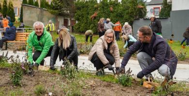 Barwne Barwice i Radomyślańskie Krokusy – wspólnie sadzimy kwiaty i dbamy o nasze otoczenie