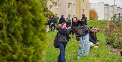Barwne Barwice i Radomyślańskie Krokusy – wspólnie sadzimy kwiaty i dbamy o nasze otoczenie