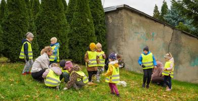 Barwne Barwice i Radomyślańskie Krokusy – wspólnie sadzimy kwiaty i dbamy o nasze otoczenie