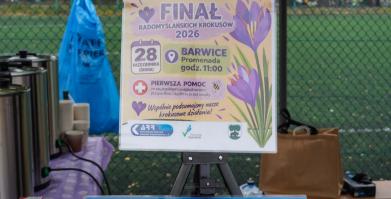 Barwne Barwice i Radomyślańskie Krokusy – wspólnie sadzimy kwiaty i dbamy o nasze otoczenie