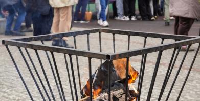 Barwne Barwice i Radomyślańskie Krokusy – wspólnie sadzimy kwiaty i dbamy o nasze otoczenie