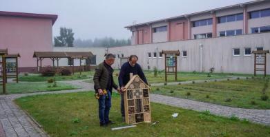 Barwne Barwice – edukacja, bioróżnorodność i ochrona zapylaczy