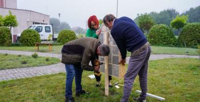 Barwne Barwice – edukacja, bioróżnorodność i ochrona zapylaczy