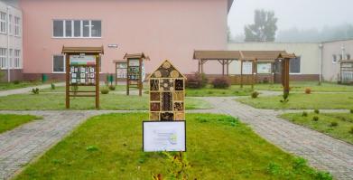 Barwne Barwice – edukacja, bioróżnorodność i ochrona zapylaczy