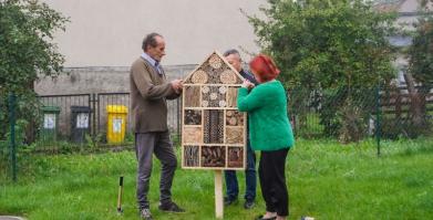 Barwne Barwice – edukacja, bioróżnorodność i ochrona zapylaczy