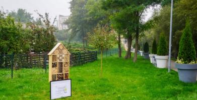 Barwne Barwice – edukacja, bioróżnorodność i ochrona zapylaczy