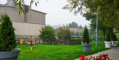 Barwne Barwice – edukacja, bioróżnorodność i ochrona zapylaczy