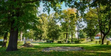 Park Miejski w Barwicach zmienia swoje oblicze