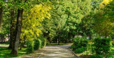 Park Miejski w Barwicach zmienia swoje oblicze