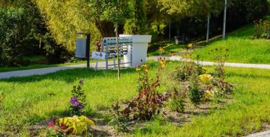 Barwne Barwice – edukacja, bioróżnorodność i ochrona zapylaczy