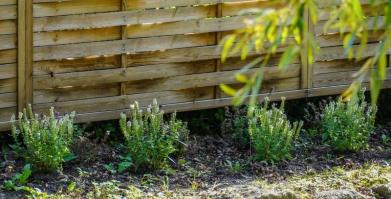 Barwne Barwice – edukacja, bioróżnorodność i ochrona zapylaczy