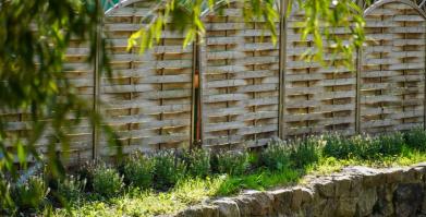Barwne Barwice – edukacja, bioróżnorodność i ochrona zapylaczy