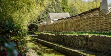 Barwne Barwice – edukacja, bioróżnorodność i ochrona zapylaczy