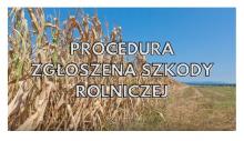 Jak zgłosić szkodę rolniczą spowodowaną czynnikami atmosferycznymi?