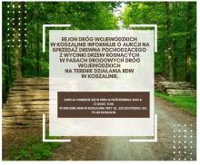 Plakat dotyczący aukcji drewna